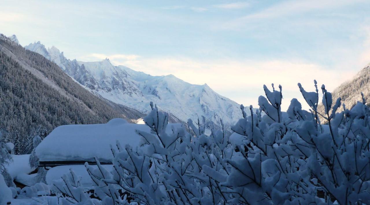 Appartement Capucine Chamonix Mont Blanc Exterior foto